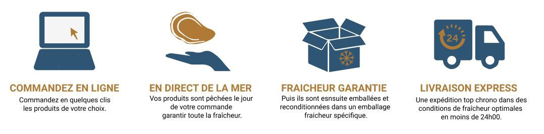 Odoo • Image et Texte