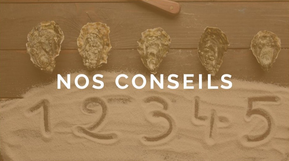 Odoo • Image et Texte