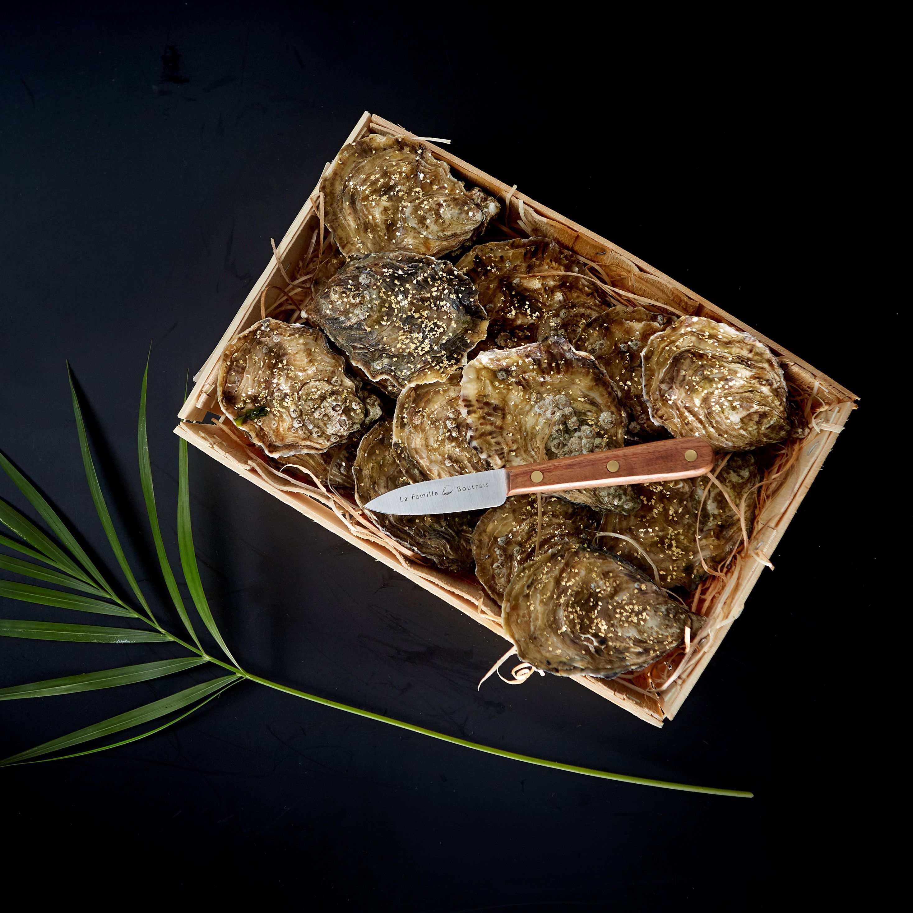 Odoo - Echantillon n°1 pour trois colonnes 